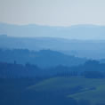 colline pisane toiano